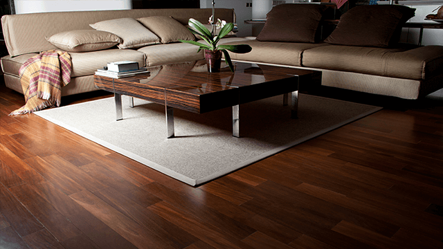 temen parket v minimalistični dnevni sobi z preprogo in mizo ob zofi